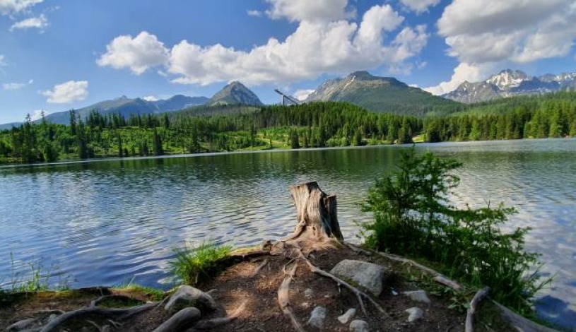 Hotel CROCUS **** Vysoké Tatry